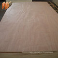veneer/melamine 2~35mm plywood for furniture/construction